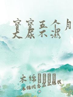 宝宝五个月用多大尿不湿
