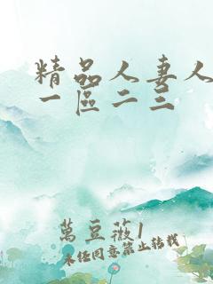 精品人妻人妻人一区二三