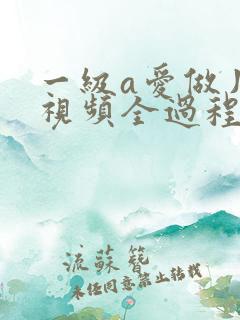 一级a爱做片性视频全过程
