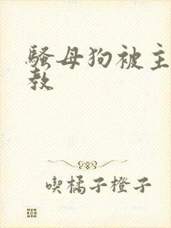 骚母狗被主人调教