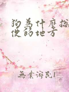 狗为什么总舔小便的地方