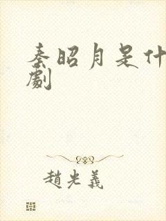 秦昭月是什么短剧