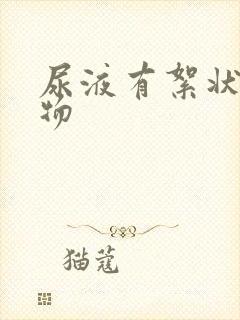 尿液有絮状沉淀物