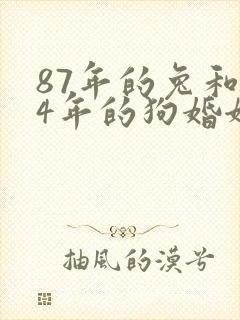 87年的兔和94年的狗婚姻相配吗