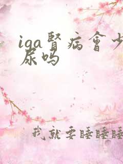 iga肾病会少尿吗
