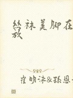 丝袜美脚在线播放