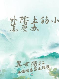 外阴上的小疹子怎么办