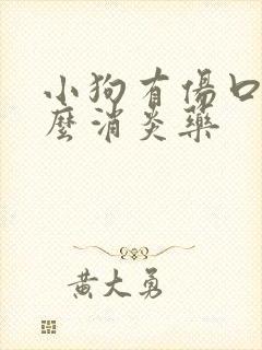 小狗有伤口用什么消炎药