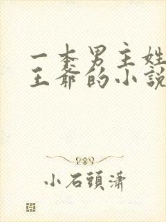 一本男主姓萧是王爷的小说