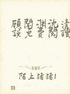 顾闻渊沈清曦小说免费阅读最新章节