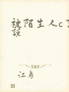 被陌生人c了小说