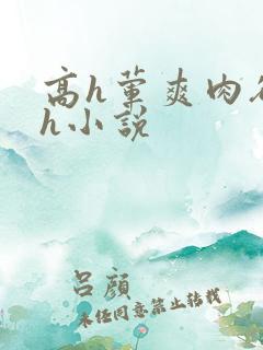 高h荤爽肉欲文h小说