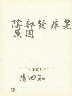 阴部发痒是什么原因