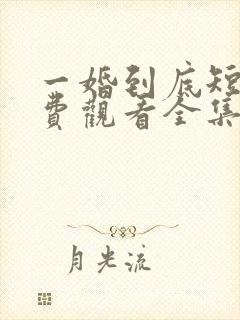 一婚到底短剧免费观看全集