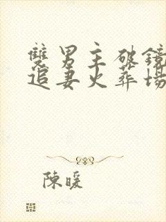 双男主破镜重圆追妻火葬场