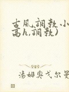 古风调教小说(高h,调教)