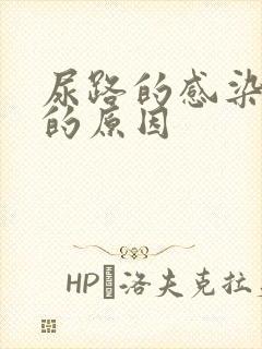 尿路的感染引起的原因