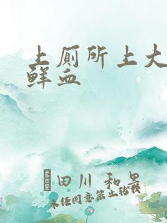 上厕所上大便拉鲜血