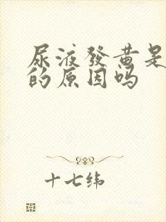 尿液发黄是上火的原因吗