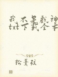 我不是戏神小说txt下载全本