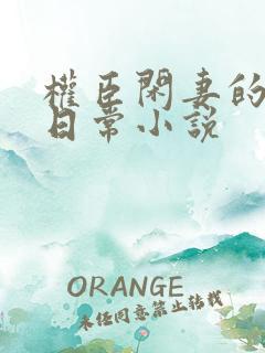 权臣闲妻的佛系日常小说