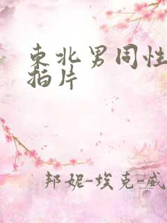 东北男同性恋自拍片