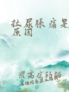 拉尿胀痛是什么原因