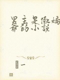 男主是傲娇小少爷的小说