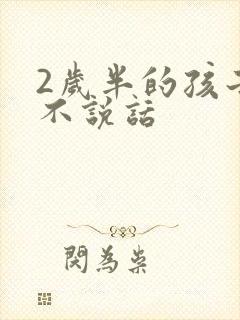 2岁半的孩子仍不说话