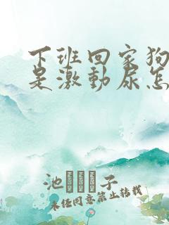 下班回家狗狗总是激动尿怎么回事