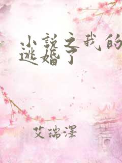 小说之我的新郎逃婚了