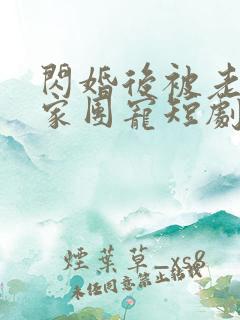 闪婚后被老公全家团宠短剧在线