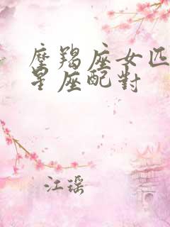 摩羯座女匹配的星座配对