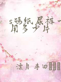 s码纸尿裤一般用多少片