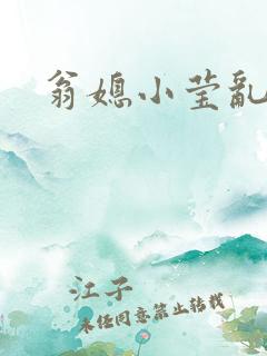 翁媳小莹乱情