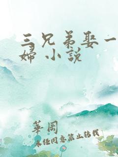 三兄弟娶一个媳妇 小说