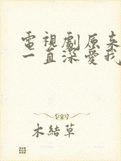 电视剧原来你也一直深爱我