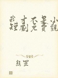 我才不是小可怜短剧免费观看全集