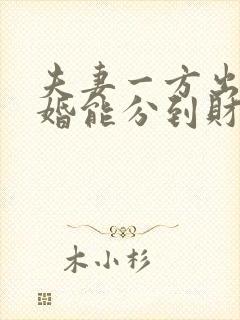 夫妻一方出轨离婚能分到财产吗