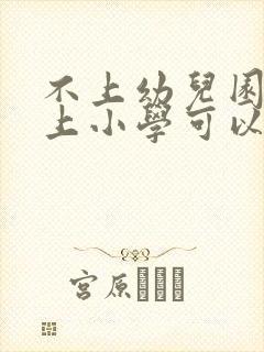 不上幼儿园直接上小学可以吗