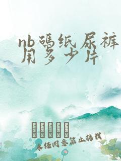 nb码纸尿裤能用多少片