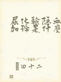 尿化验隐血2个加号是什么情况