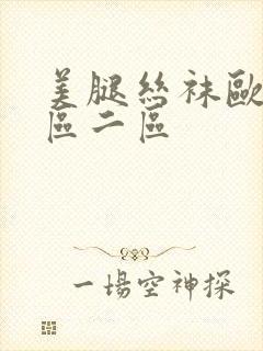 美腿丝袜欧美一区二区