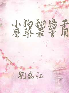 小狗翻肠子吃什么药最管用