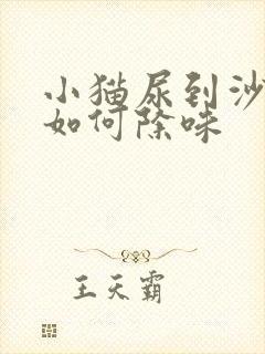 小猫尿到沙发上如何除味