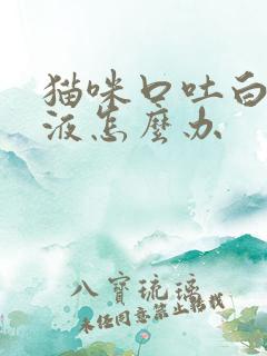 猫咪口吐白色粘液怎么办