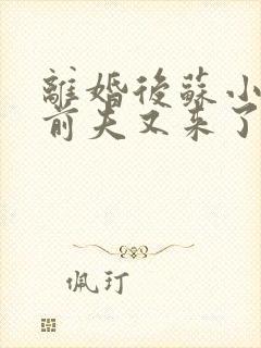 离婚后苏小姐的前夫又来了短剧