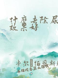 什么去除尿骚味效果好