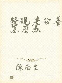 发现老公养情人怎么办