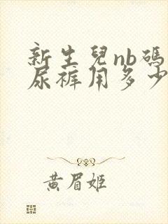 新生儿nb码纸尿裤用多少片